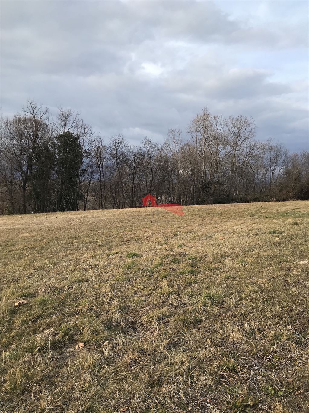 TERRENO EDIFICABILE A MORUZZO